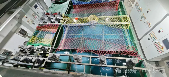 1773997055919311.png image.png